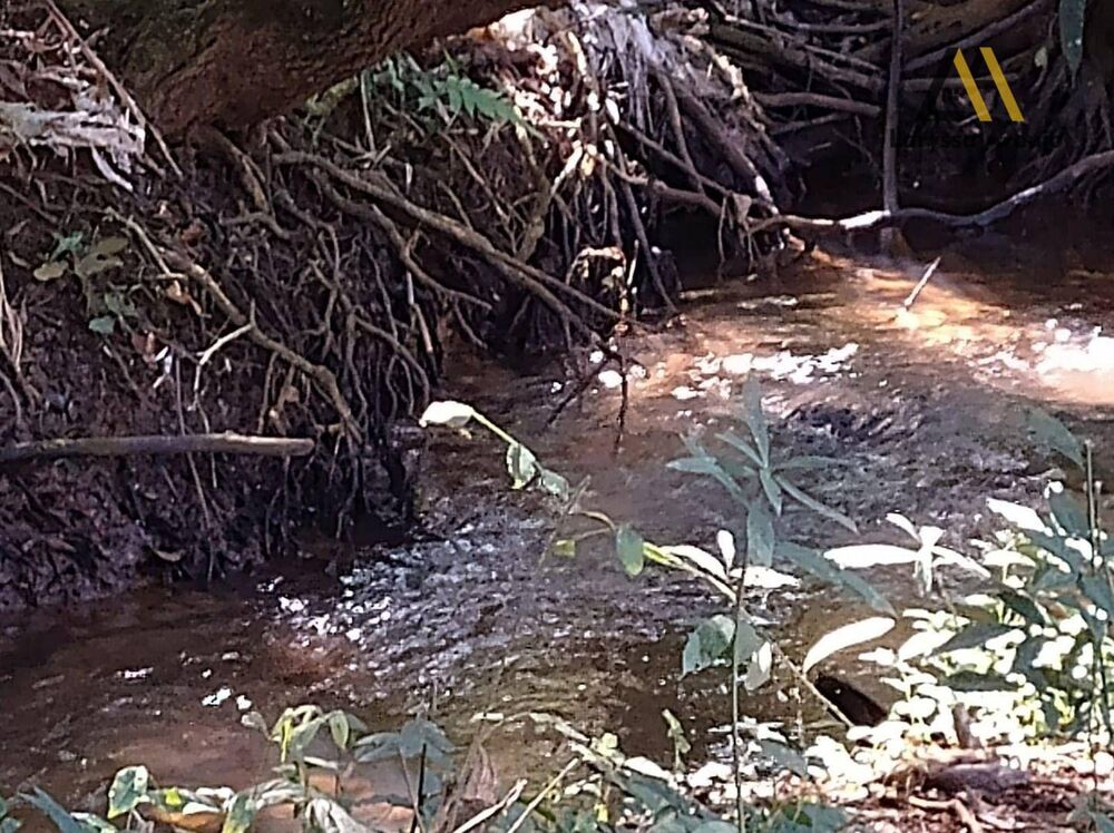 Chácara, 2 quartos, 1 hectares - Foto 34