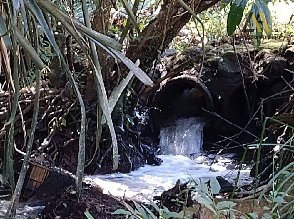 Chácara, 2 quartos, 1 hectares - Foto 33