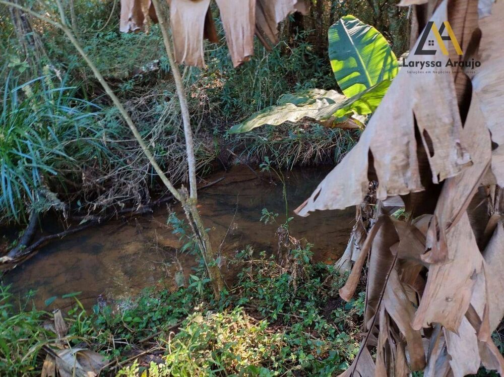 Chácara, 2 quartos, 1 hectares - Foto 36