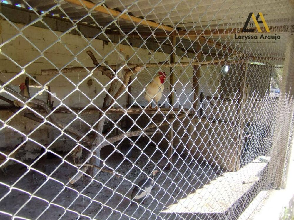 Chácara, 2 quartos, 1 hectares - Foto 30