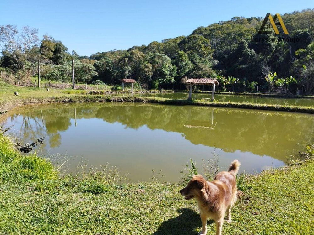 Chácara, 2 quartos, 1 hectares - Foto 24