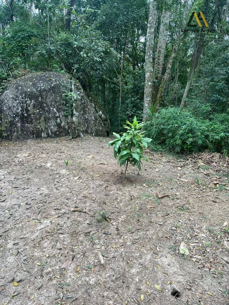 Terreno à venda, 1550M2 - Foto 4