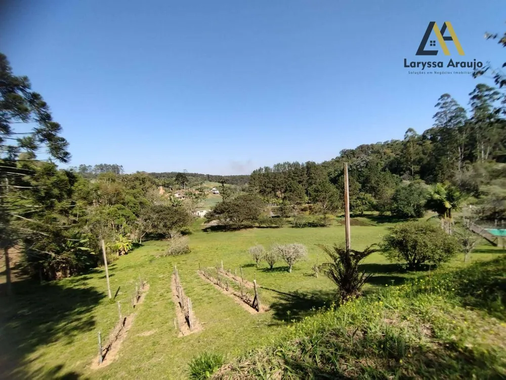 Sítio, 4 quartos, 3 hectares - Foto 4