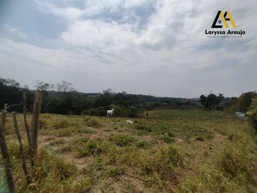 Terreno, 2 hectares - Foto 8