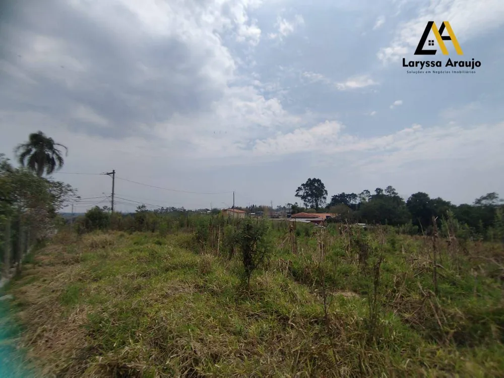 Terreno, 2 hectares - Foto 10