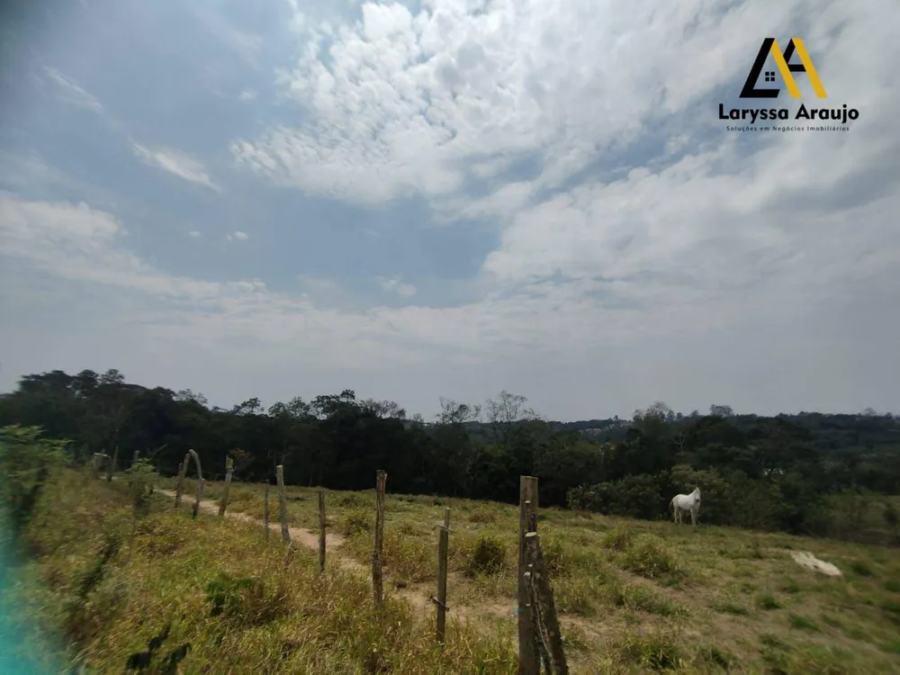Terreno, 2 hectares - Foto 7