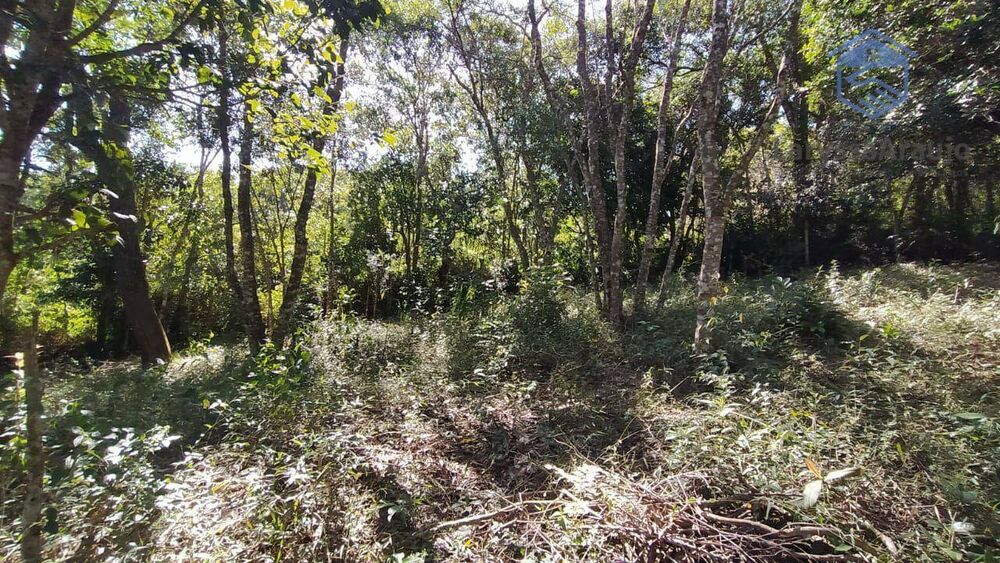 Terreno, 1002 m² - Foto 8