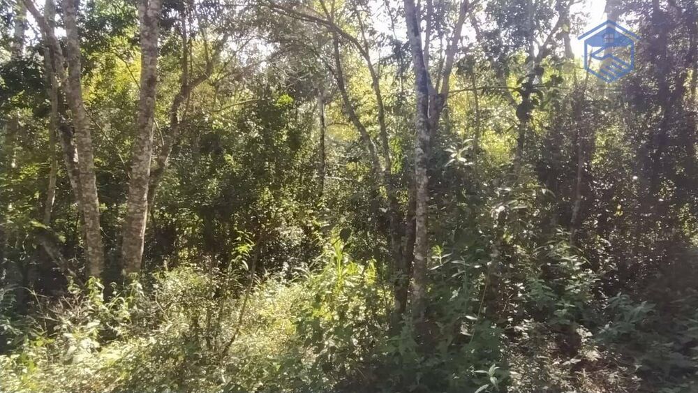 Terreno, 1002 m² - Foto 10