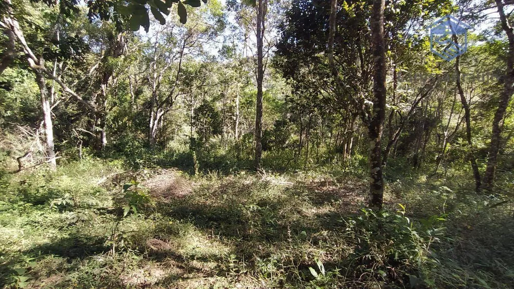 Terreno, 1002 m² - Foto 6