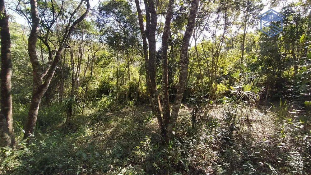 Terreno, 1002 m² - Foto 9