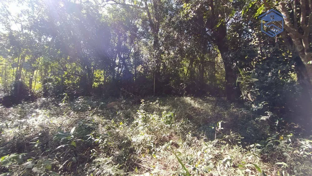 Terreno, 1002 m² - Foto 2