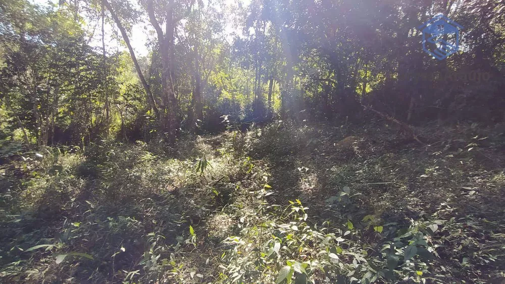 Terreno, 1002 m² - Foto 7