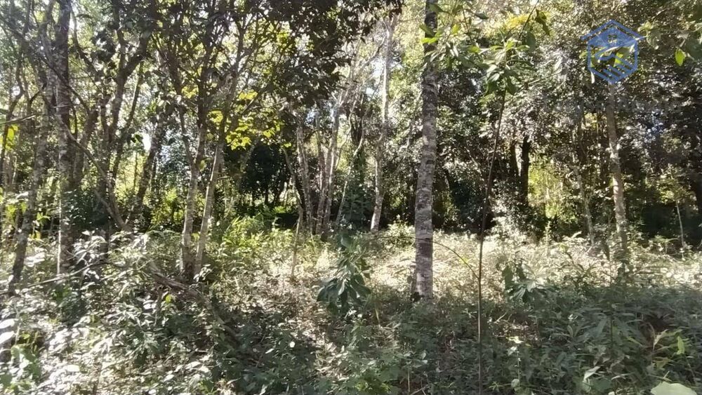 Terreno, 1002 m² - Foto 11