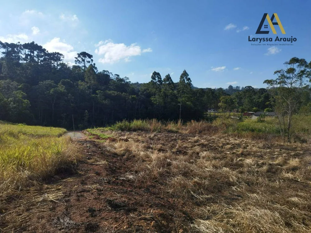 Terreno, 2000 m² - Foto 3