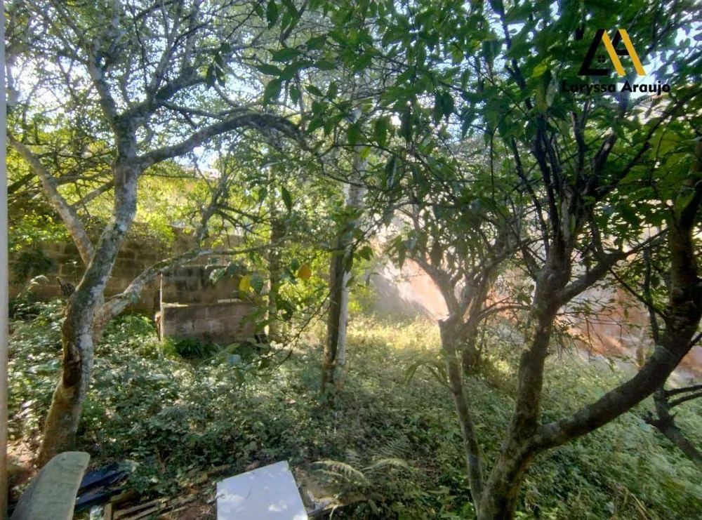 Chácara, 2 quartos, 1112 m² - Foto 11
