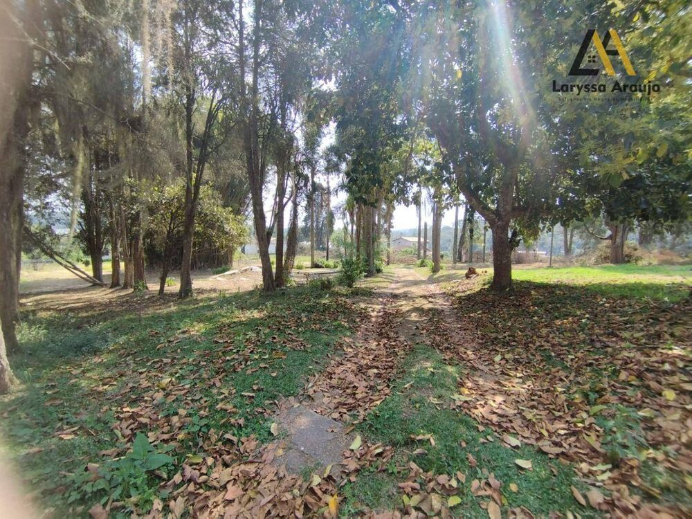 Sítio, 3 quartos, 5 hectares - Foto 11