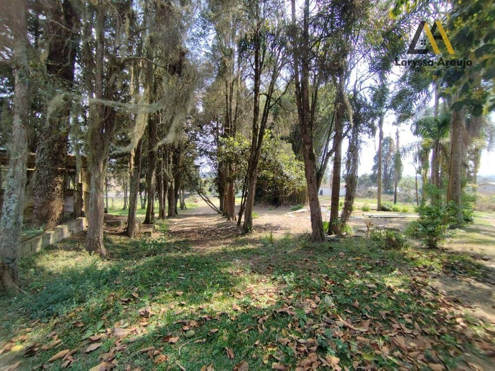 Sítio, 3 quartos, 5 hectares - Foto 12