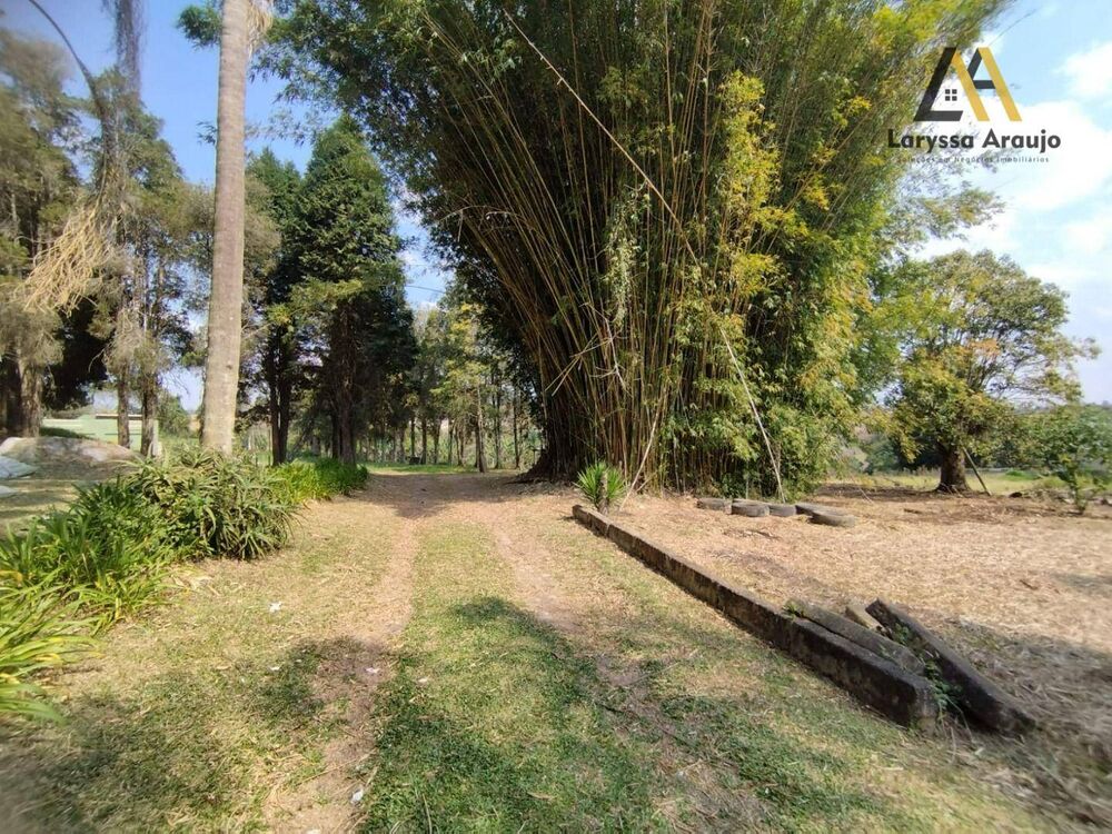 Sítio, 3 quartos, 5 hectares - Foto 9