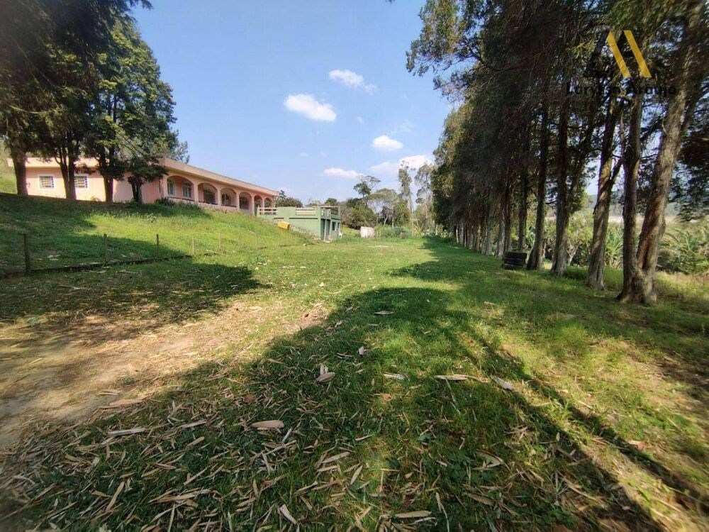 Sítio, 3 quartos, 5 hectares - Foto 8