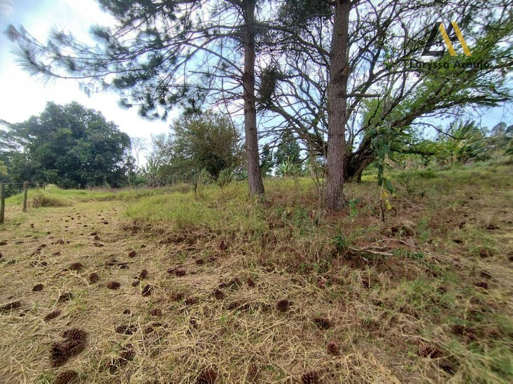 Sítio, 3 quartos, 5 hectares - Foto 4