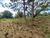 Sítio, 3 quartos, 5 hectares - Foto 4