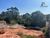 Terreno, 800 m² - Foto 4