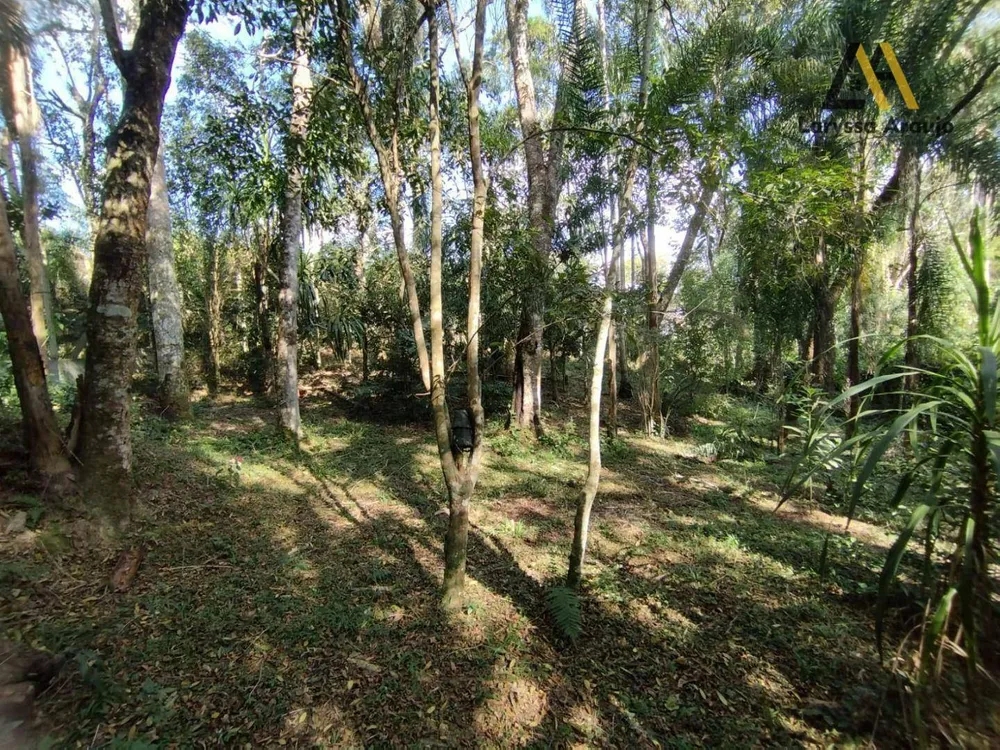 Terreno, 1000 m² - Foto 7