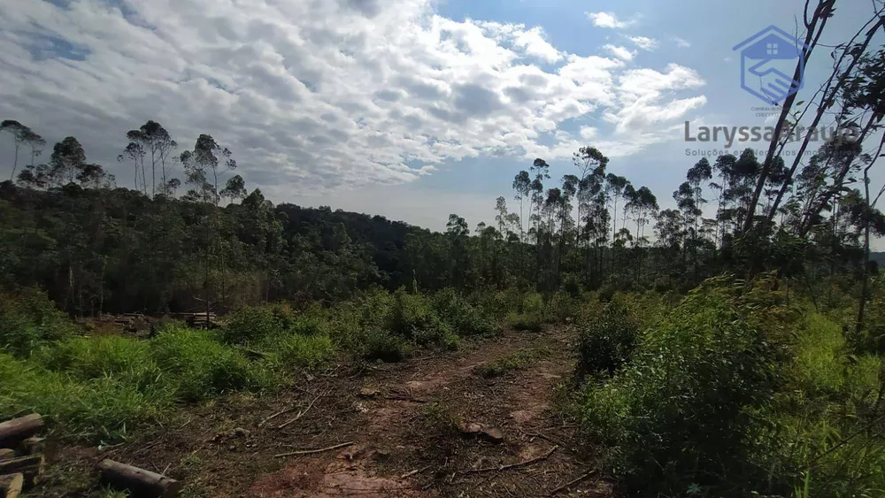 Terreno à venda, 273000M2 - Foto 3