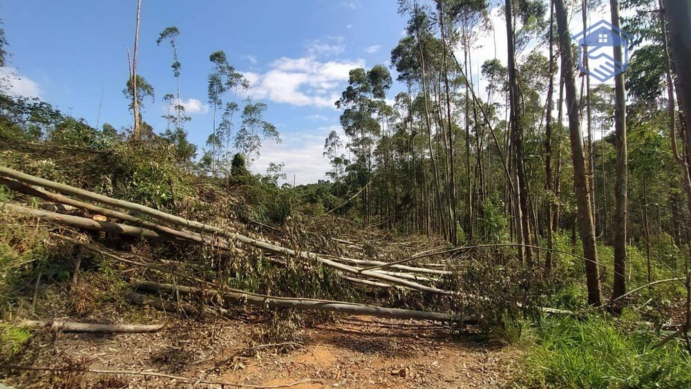 Terreno à venda, 273000M2 - Foto 6