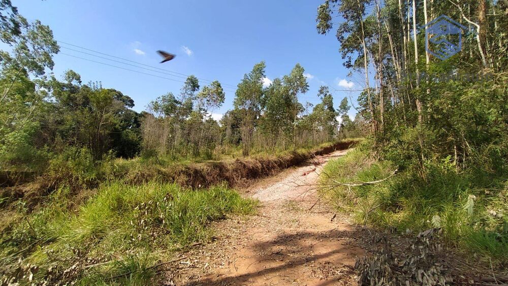 Terreno à venda, 273000M2 - Foto 5