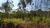 Terreno, 27 hectares - Foto 8