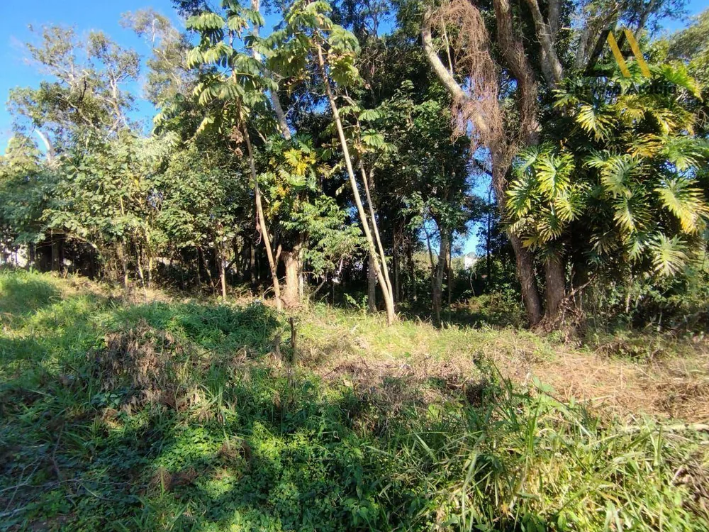 Terreno, 1000 m² - Foto 3