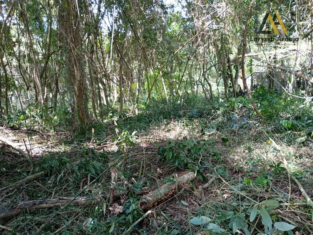 Terreno, 1500 m² - Foto 8