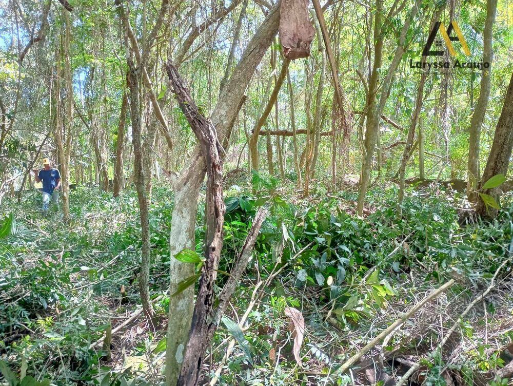 Terreno à venda, 1500M2 - Foto 2