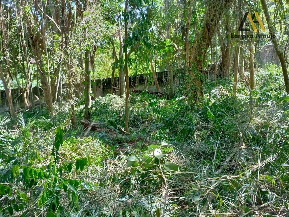 Terreno, 1500 m² - Foto 5