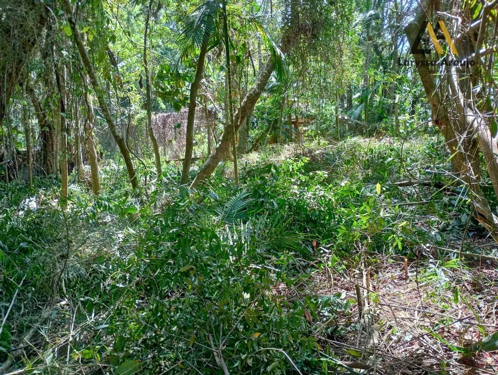 Terreno, 1500 m² - Foto 6