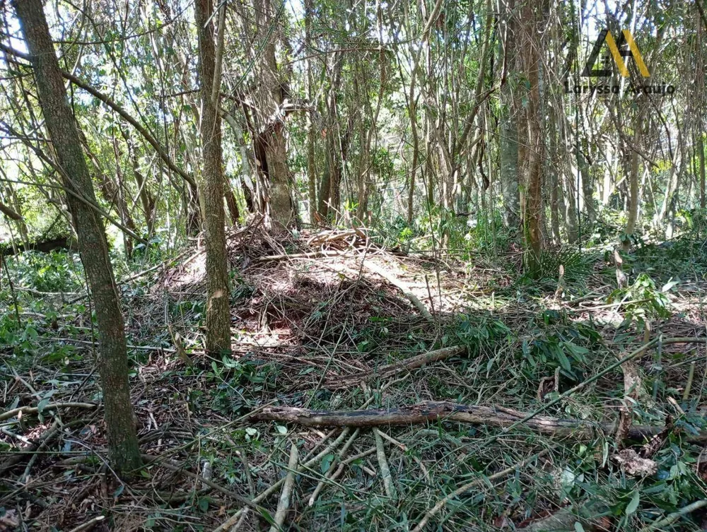 Terreno, 1500 m² - Foto 7