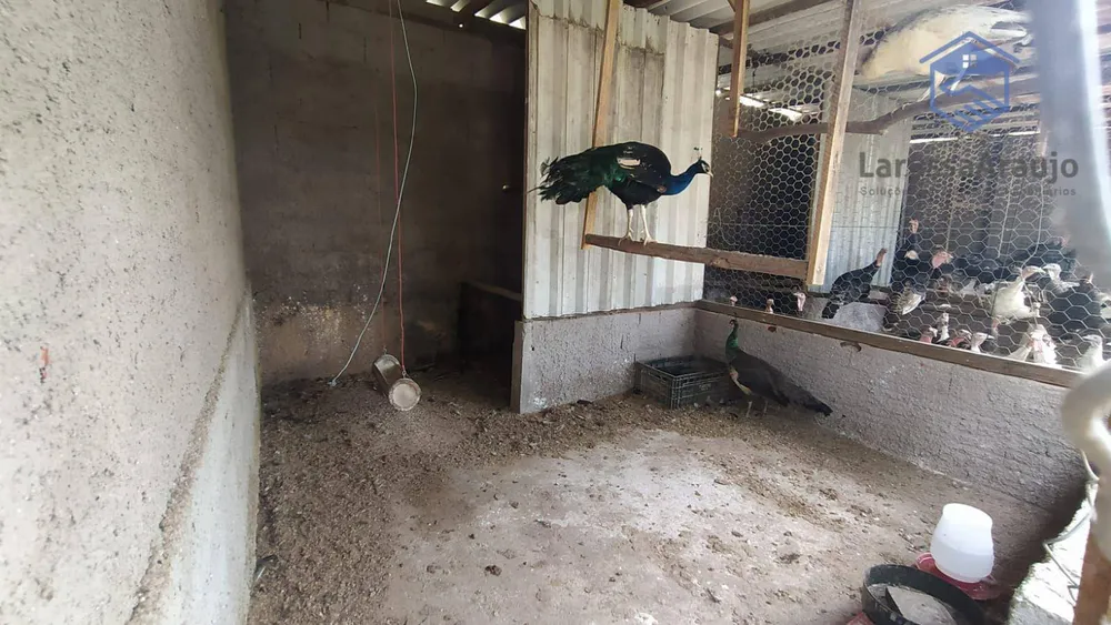 Chácara, 2 quartos, 1 hectares - Foto 1