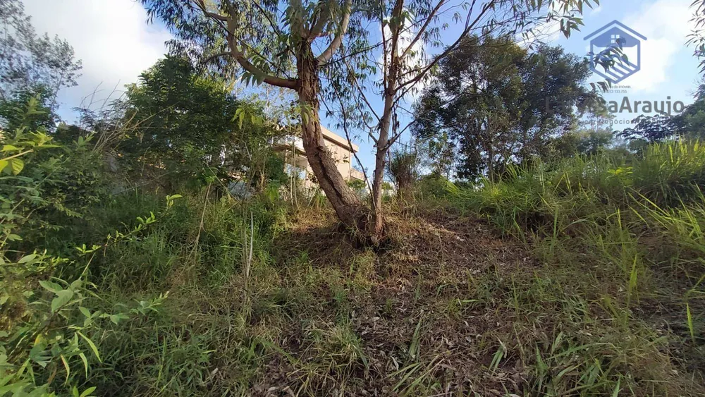 Terreno, 1000 m² - Foto 5