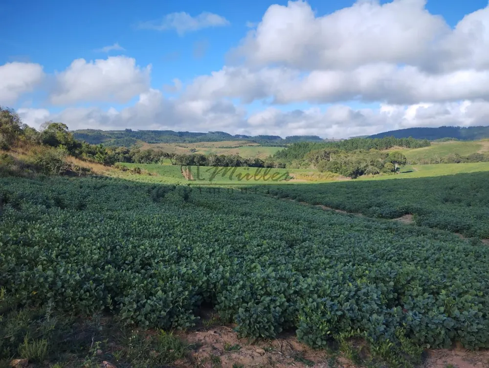 Fazenda, 677 m² - Foto 12