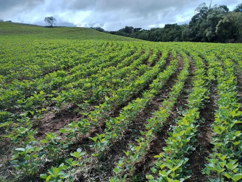 Fazenda, 677 m² - Foto 2