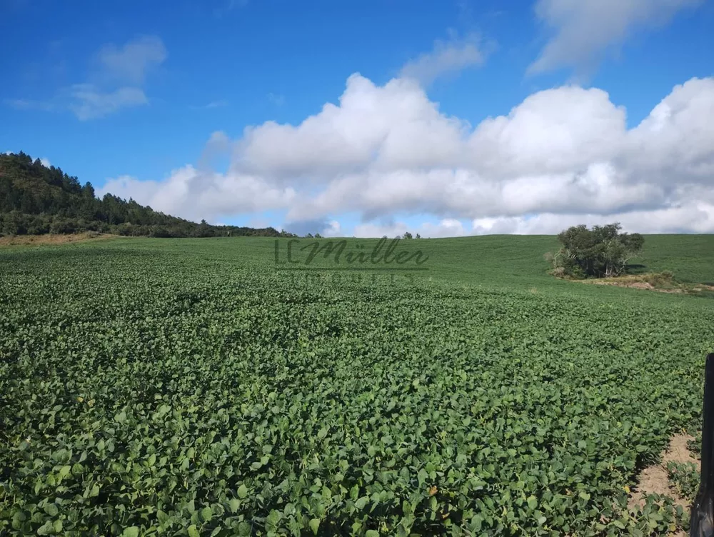 Fazenda, 677 m² - Foto 4