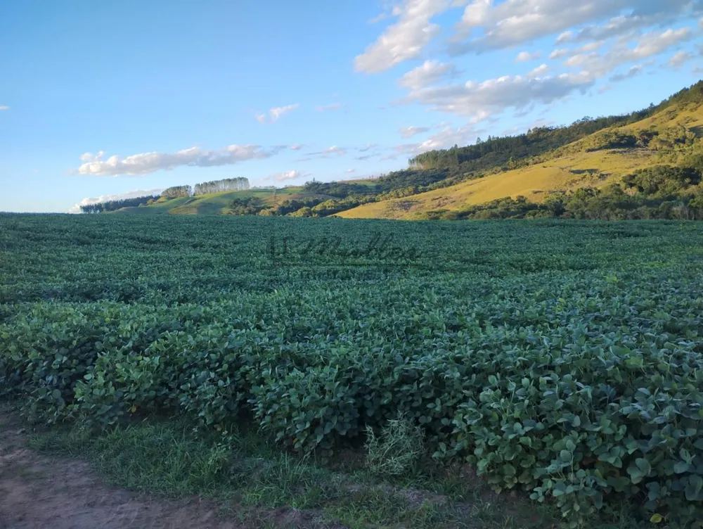 Fazenda, 677 m² - Foto 9