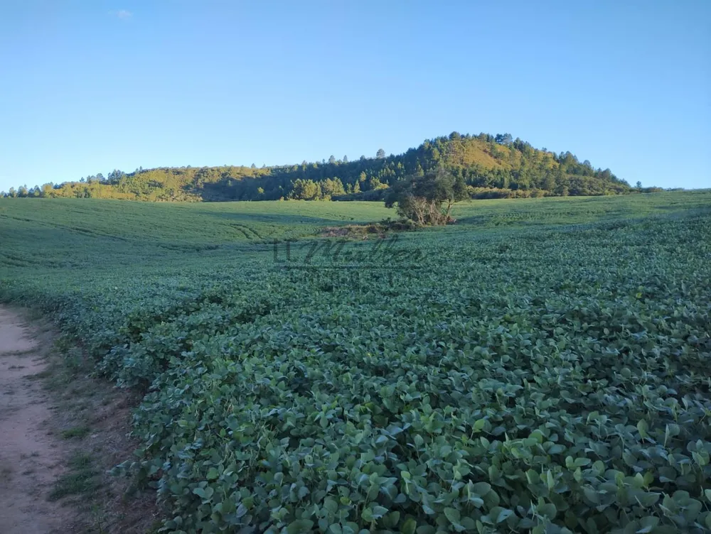 Fazenda, 677 m² - Foto 5