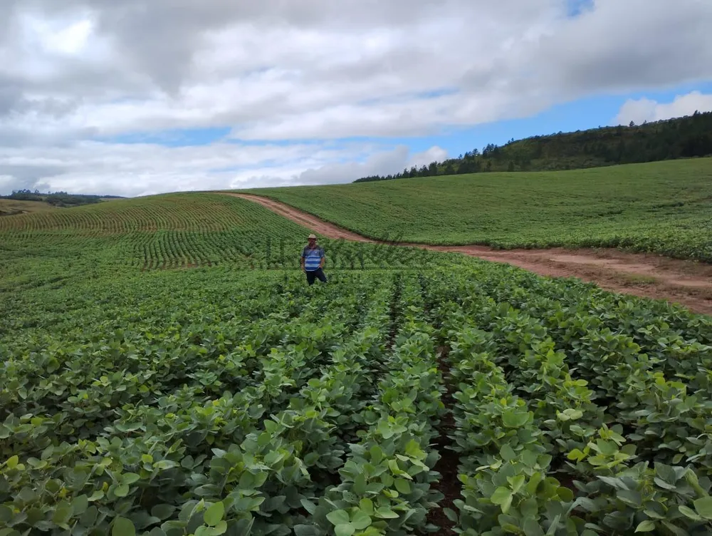 Fazenda, 677 m² - Foto 11