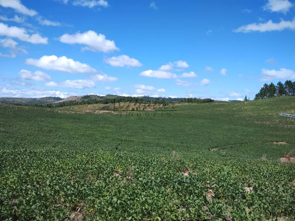 Fazenda, 677 m² - Foto 3