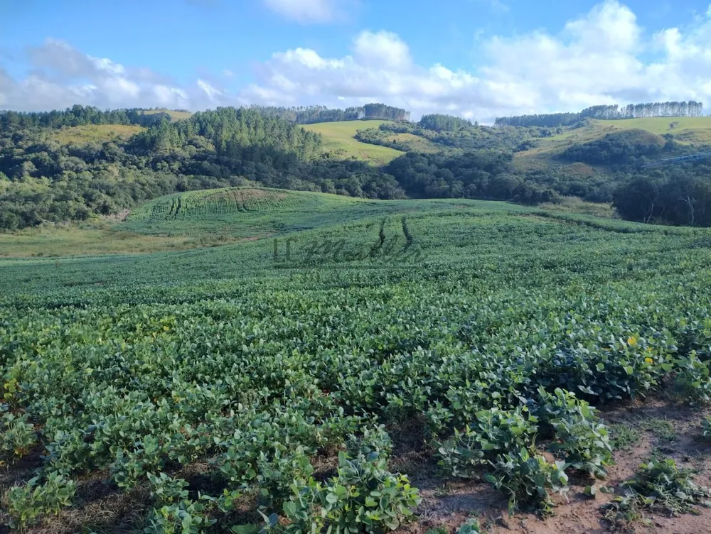 Fazenda, 677 m² - Foto 9