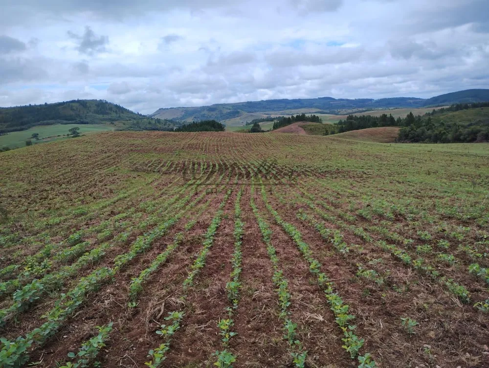 Fazenda, 677 m² - Foto 7