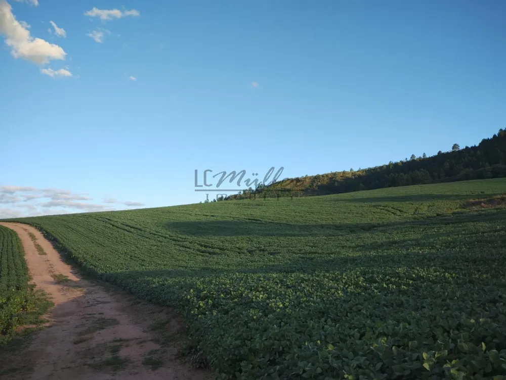 Fazenda, 677 m² - Foto 6