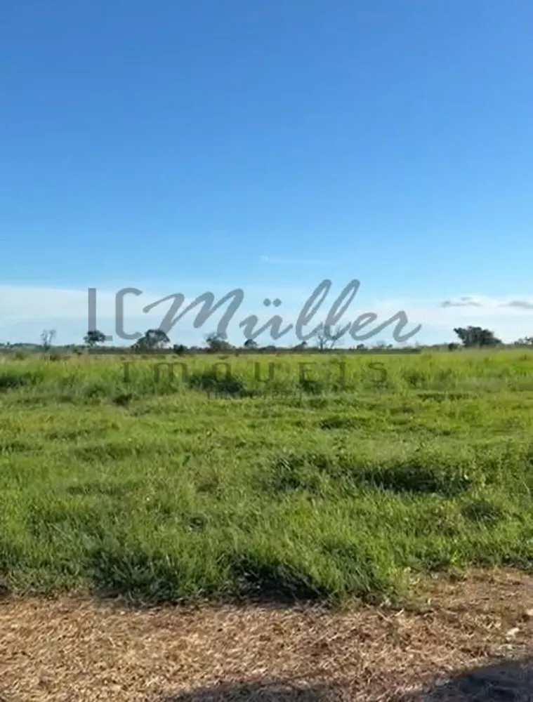 Fazenda, 1219 m² - Foto 3